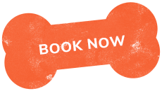 https://barkyway.com/wp-content/uploads/2019/07/text_01.png