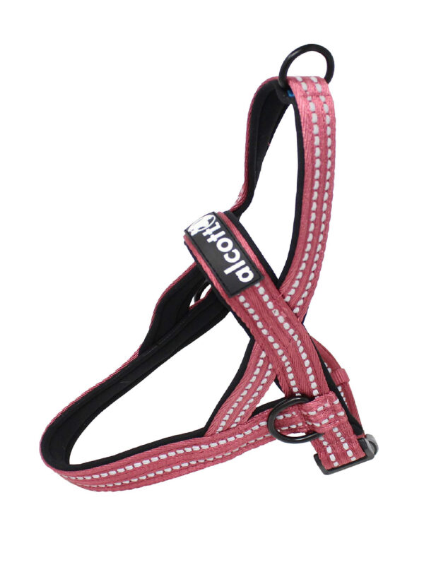 Alcott Norwegian Harness, Red