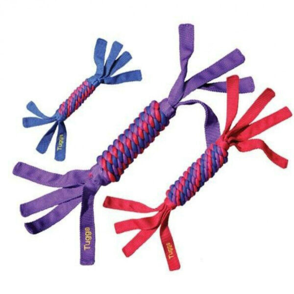 KONG Tubba Wubba Interactive Tug and Toss Dog Toy small