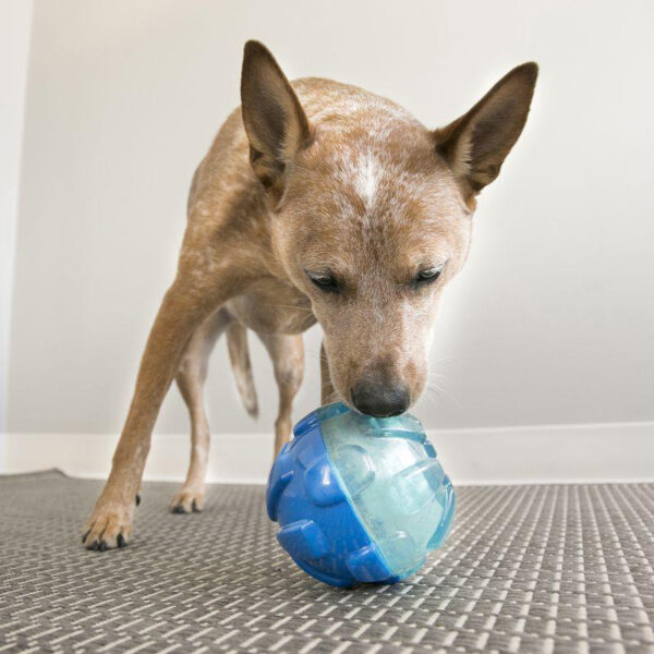 KONG Rewards Ball Treat Dispenser Dog Toy, small