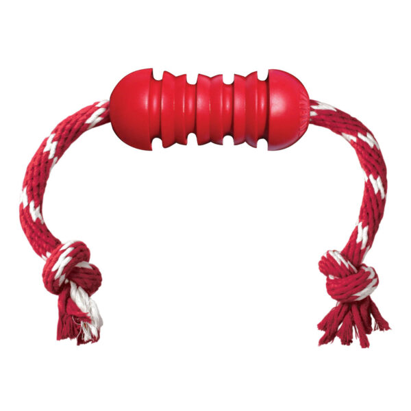 Kong Dental with Rope for Medium Dogs (15-35 lbs / 7-16 kg)